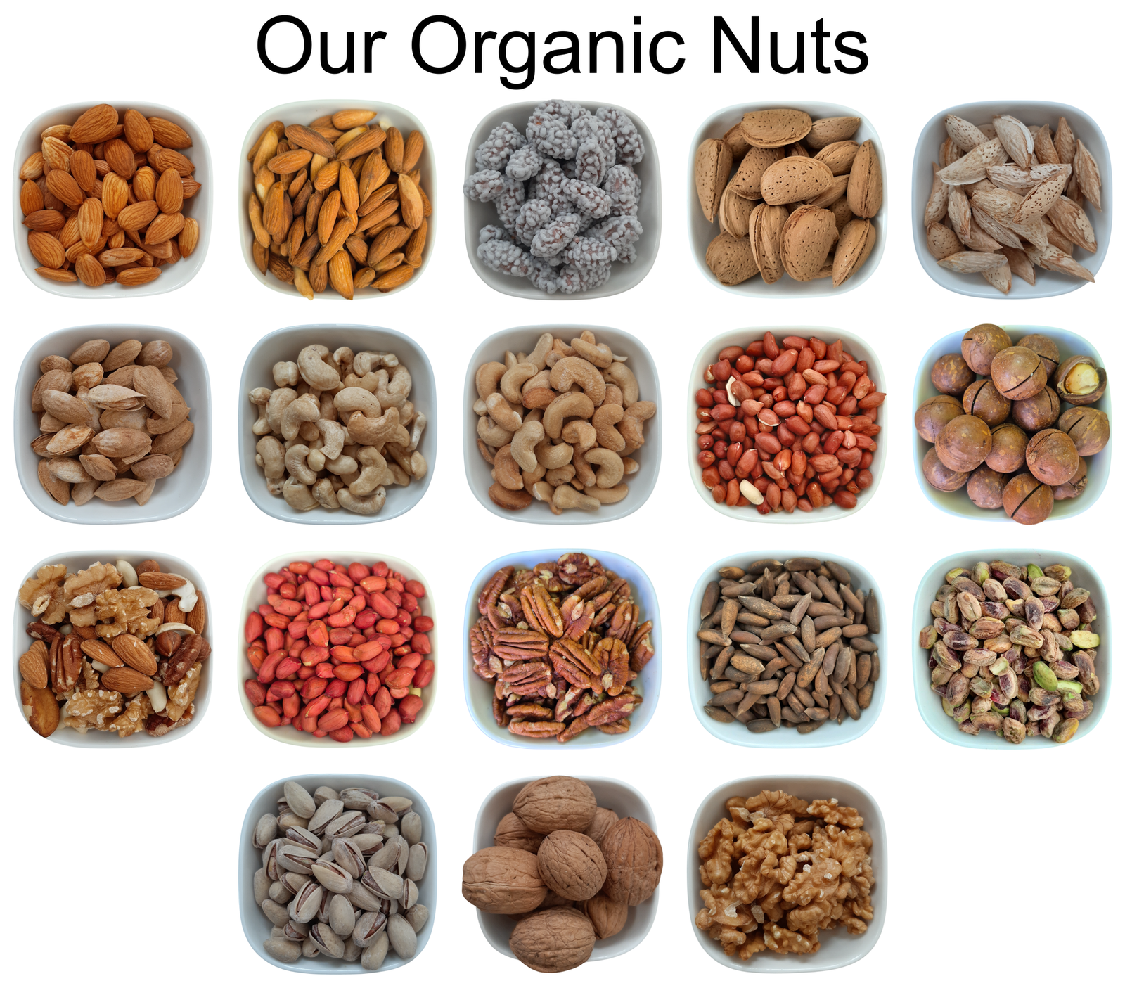 Peanuts (Groundnuts) Normal, Roasted – Natural organic premium-quality + Free sample!